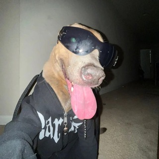 Логотип @sekretananasa - vip zone😽💋