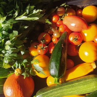 Логотип @selbstversorgergartentagebuch - Gartentagebuch einer Selbstversorgerin