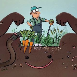 Логотип @selbstversorgundpermakultur - Selbstversorgung aus dem Garten 🌱 Permakultur, Flächenkompost und mehr 🌱