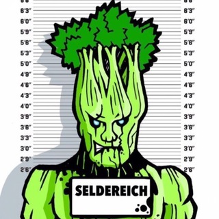 Логотип @seldereich - seldereich