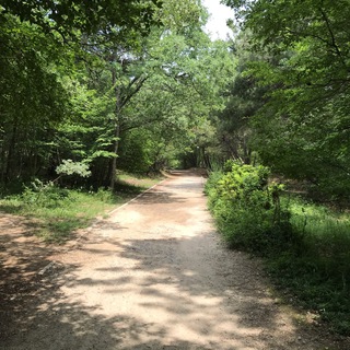 Логотип @selfally - Сам себе союзник