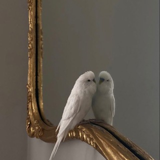 Логотип @selfcare_beauuty - Beauty | Selfcare