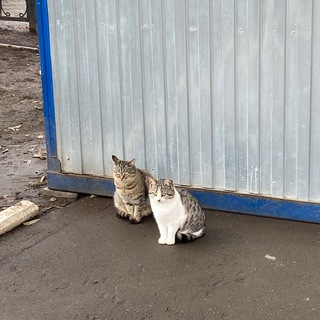 Логотип @selfcarethreads - я хочу стать лучше! 🧚🏻‍♀️