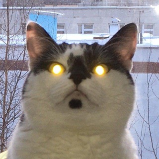 Логотип @selfinstallation - Самоинсталляция