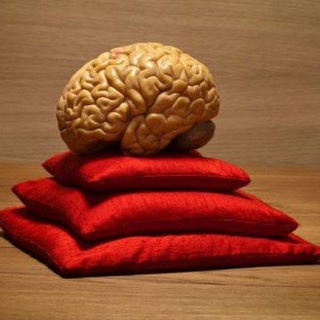 Логотип @selfkod - Нейрокод мышления