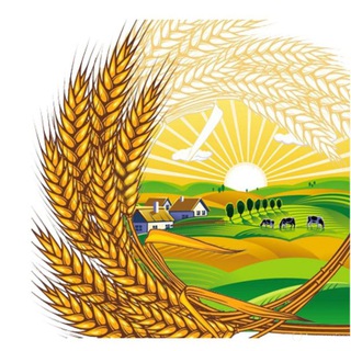 Логотип @selhozkuban - СЕЛЬХОЗ КУБАНЬ ПРОДУКТ ®