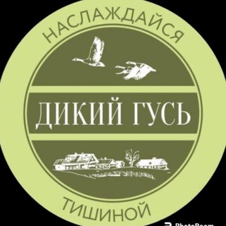 Логотип @seligerdikiigus - Селигер Дикий Гусь