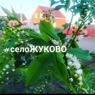 Логотип @selo_zhukovo - Село Жуково - Уфимский район