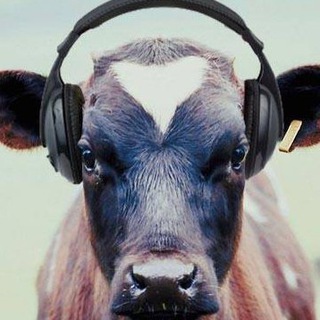 Логотип @selskoe - Животноводство, птицеводство и сельское хозяйство