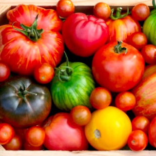 Логотип @semena_elena - СЕМЕНА Красивого Сада