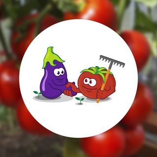 Логотип @semenapartner - Интернет-магазин semena-partner.ru