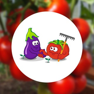 Логотип @semenapartner_chat - ЧАТ Интернет-магазина semena-partner.ru