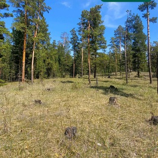 Логотип @semey_chat - Для создания правильного мировоззрения