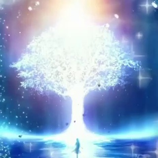 Semillas en Evolución (Aportes)✨