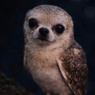 Логотип @semsotsex - семьсот семь