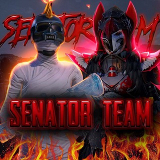 Логотип @senat_team - SENATOR TEAM