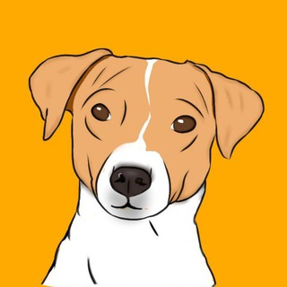 Логотип @sendidogdr - Sendi×Poli