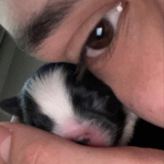 Логотип @sendomld - Сендом болтает