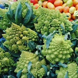 Логотип @sennoytoday - Сегодня на рынке