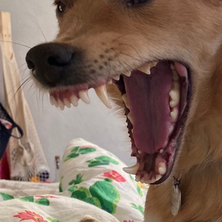 Логотип @seno_soloma - я сейчас вам покажу