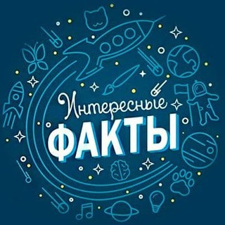 Логотип @senonfact - Интересные Факты