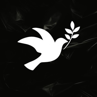 Логотип @senzacharity - SENZA Charity