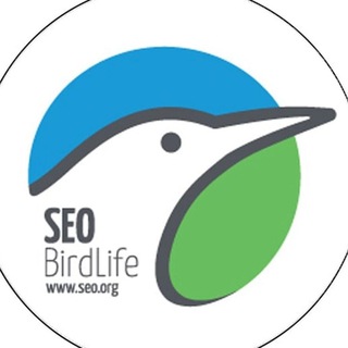 Логотип @seobirdlifevoluntariado - SEO/BirdLife. Voluntariado