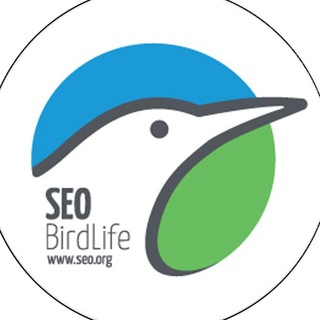 Логотип @seobirliferutasexcursionesmadri - SEOBirdLife. Rutas, excursiones y viajes Madrid