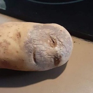 Логотип @seochatbelarus - SEO-чат Беларуси 🏠 👈