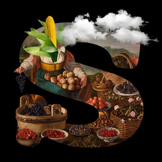 Логотип @septa_wine - SEPTA