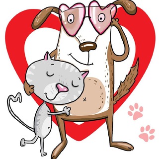 Логотип @serdceanapa1 - Анапа❗️Помощь бездомным животным ❤ Сердцем к сердцу ❤