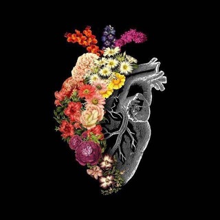 Логотип @serdcem - 𝐒𝐄𝐑𝐃𝐂𝐄 🫀