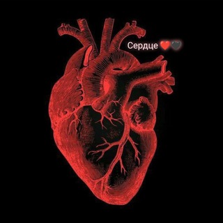 Логотип @serdse12 - Сердце ❤️🖤
