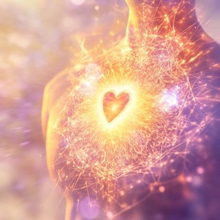 Логотип @serdzem - АМБАССАДОРЫ ЖИЗНИ