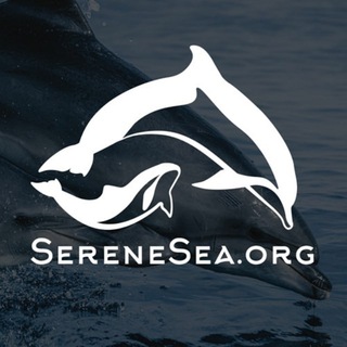 Логотип @sereneseadolphins_channel - Центр «Безмятежное Море» 🐬
