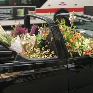 Логотип @sereniity_s - Serenity