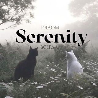 Логотип @serenitymentalhealth - «𝖲𝖾𝗋𝖾𝗇𝗂𝗍𝗒» 𝖬𝖾𝗇𝗍𝖺𝗅 𝗁𝖾𝖺𝗅𝗍𝗁