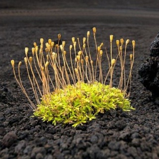 Логотип @SergAphotos - Записки фотографа