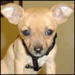 Логотип @sergeistrelec - sergeistrelec.name