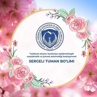 Логотип @sergeliseovajsb - Sergeli SES / Rasmiy kanal