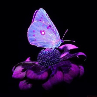 Логотип @serialloww - Сериалы || Миротворец|Лунный Рыцарь|