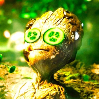 Логотип @serialy_novinki_smotret - КИНАЧ 🎬 Только премьеры кино