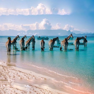 Логотип @serious_kitaev - Серьёзный Китаев