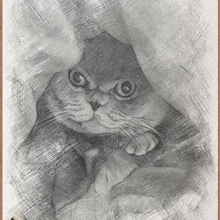 Логотип @sero_kot - Серый kotъ Право