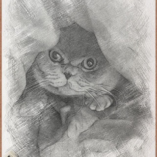 Логотип @sero_kot2 - Серый kotъ