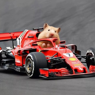 Логотип @serodjii - Serodji