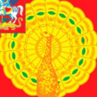 Логотип @serpukhovinfo - Серпухов Инфо 🦚