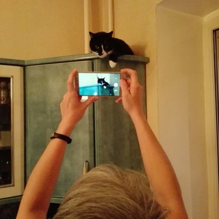 Логотип @sertoun_tut - Сертун_тут