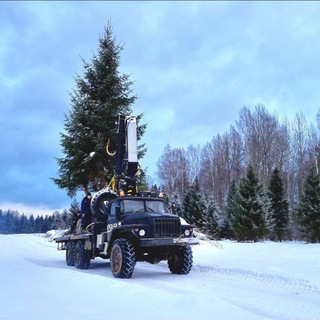 Логотип @servisbisofficial - Сервис БиС питомник деревьев