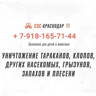 Логотип @ses_krasnodar - СЭС-Краснодар